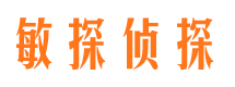 兴业侦探